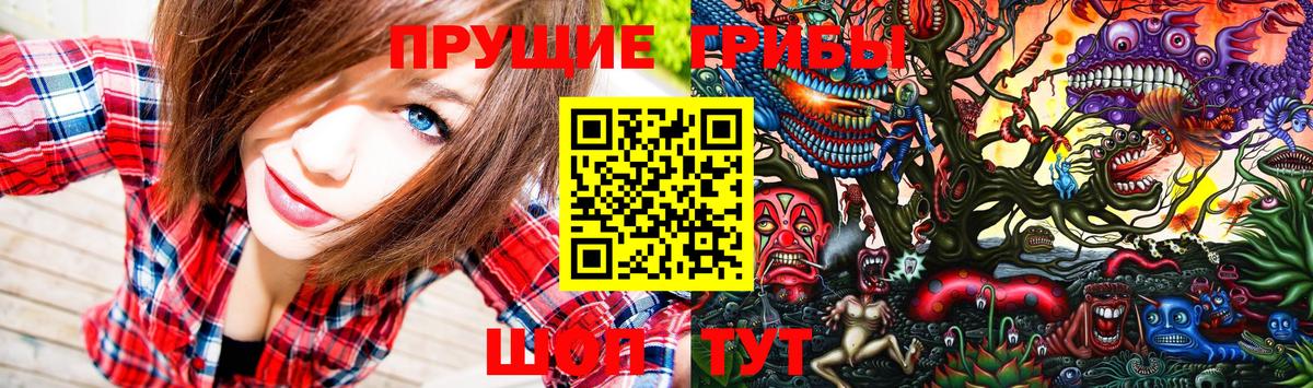 Саяногорск  Псилоцибиновые грибы мицелий  Вход с VPN  Псилоцибиновые грибы Psilocybine cubensis 